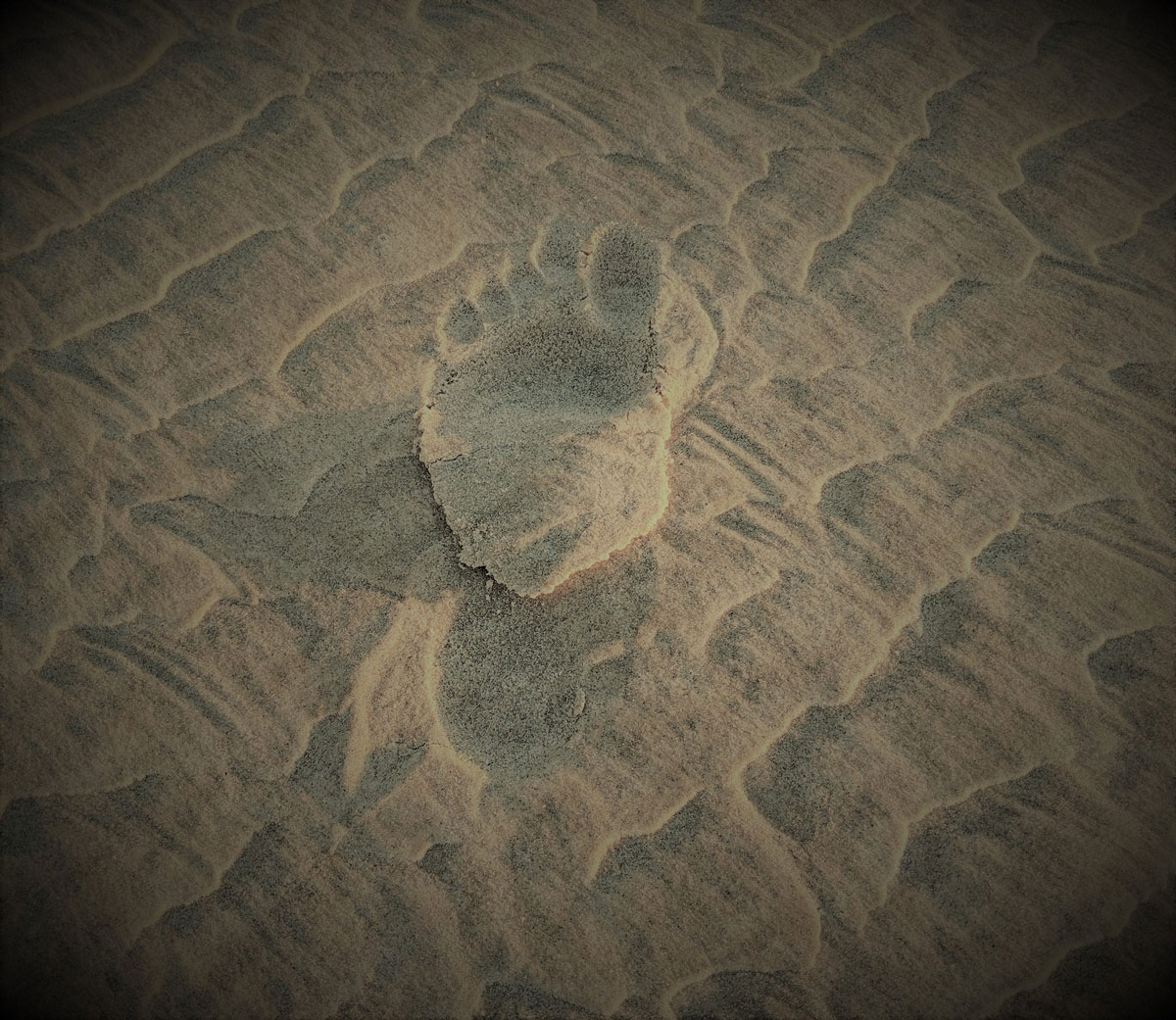 Footprint in the sand