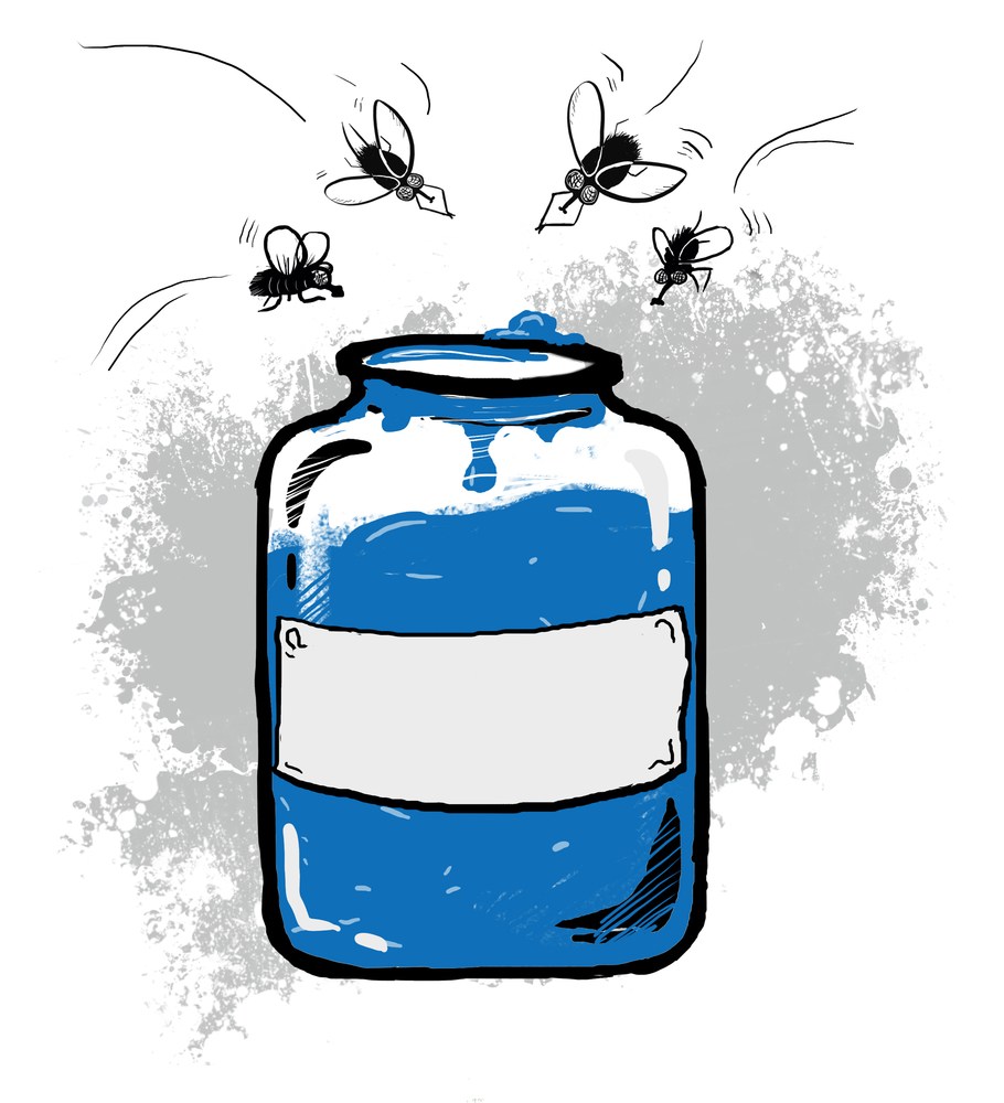 honey jar and flies illustration