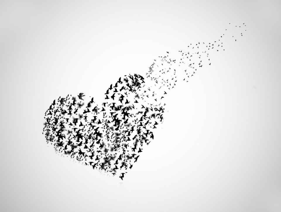 Birds fly together in the shape of a love heart but some are flying away, this is to represent the concept of when bills come in the love goes out.